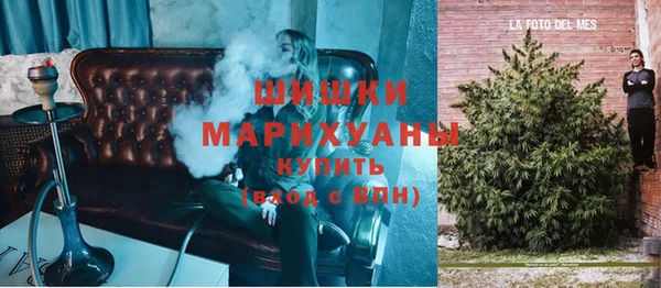 твердый Арсеньев