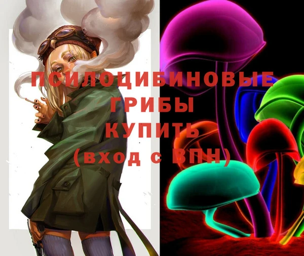круглые Армянск