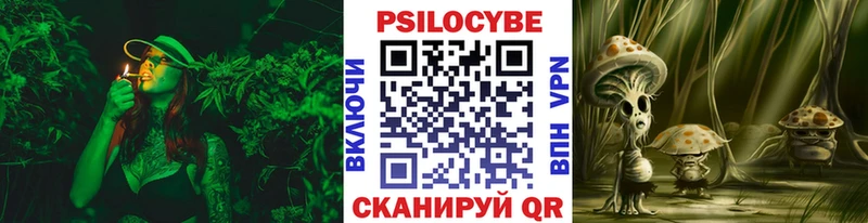 Галлюциногенные грибы Magic Shrooms Покров