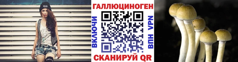 Псилоцибиновые грибы Cubensis  Покров 