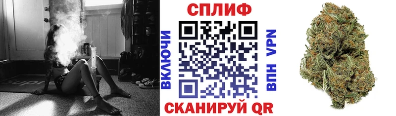 Марихуана семена  Покров 